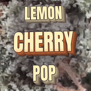 Lemon Cherry Pop Cannabis Strain