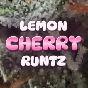 Lemon Cherry Runtz Cannabis Strain