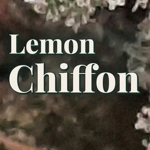Lemon Chiffon Cannabis Strain