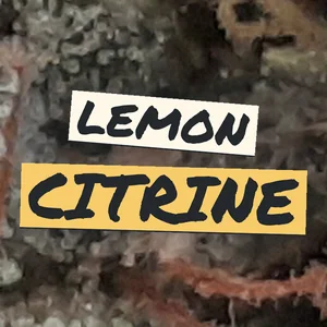 Lemon Citrine Cannabis Strain