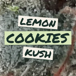 Lemon Cookies Kush Cannabis Strain