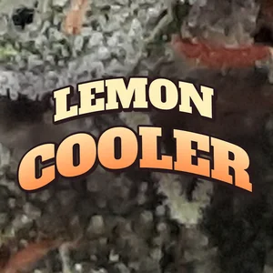 Lemon Cooler Cannabis Strain