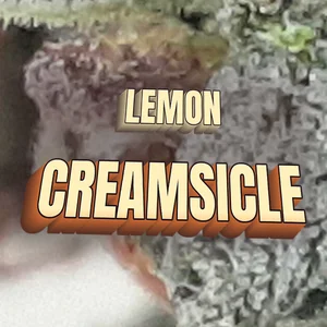 Lemon Creamsicle Cannabis Strain