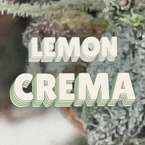 Lemon Crema Cannabis Strain