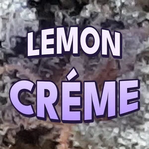 Lemon Créme Cannabis Strain