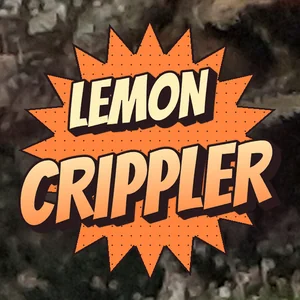 Lemon Crippler Cannabis Strain