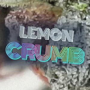 Lemon Crumb Cannabis Strain