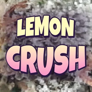 Lemon Crush Cannabis Strain