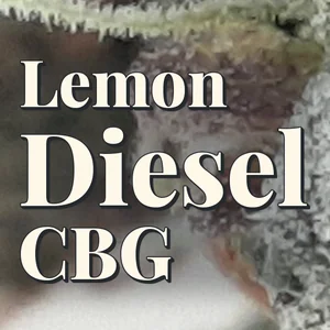 Lemon Diesel CBG Cannabis Strain