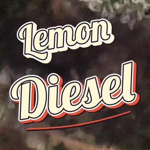 Lemon Diesel Cannabis Strain