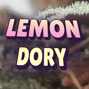 Lemon Dory Cannabis Strain
