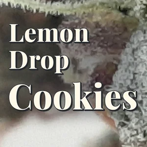 Lemon Drop Cookies Cannabis Strain