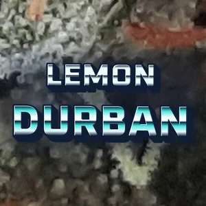 Lemon Durban Cannabis Strain