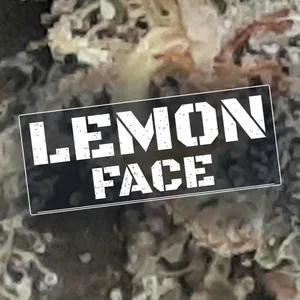 Lemon Face Cannabis Strain