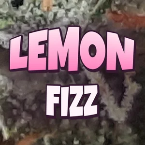 Lemon Fizz Cannabis Strain