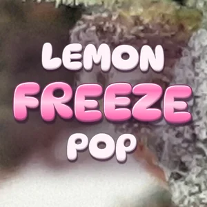Lemon Freeze Pop Cannabis Strain