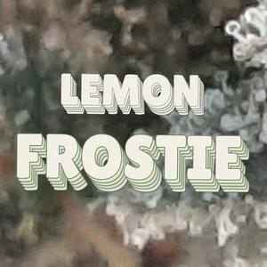 Lemon Frostie Cannabis Strain