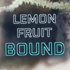 Lemon Fruit Bound Cannabis Strain