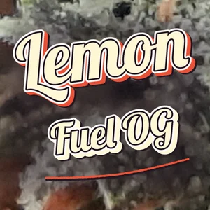 Lemon Fuel OG Cannabis Strain