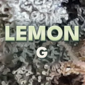 Lemon G Cannabis Strain