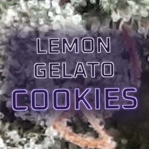 Lemon Gelato Cookies Cannabis Strain