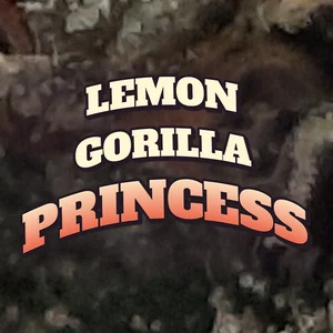 Lemon Gorilla Princess Cannabis Strain