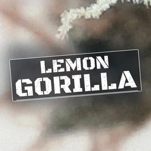 Lemon Gorilla Cannabis Strain