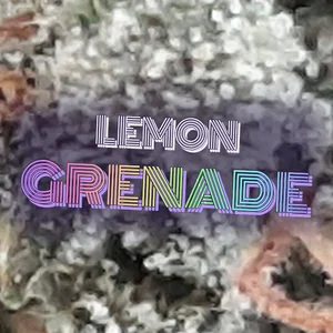 Lemon Grenade Cannabis Strain