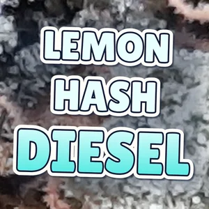 Lemon Hash Diesel Cannabis Strain