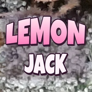 Lemon Jack Cannabis Strain