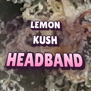 Lemon Kush Headband Cannabis Strain