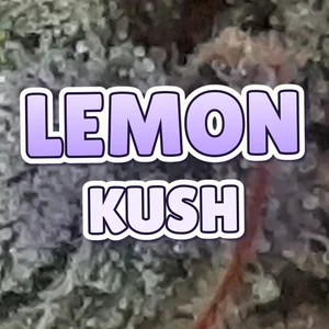 Lemon Kush Cannabis Strain
