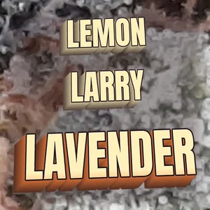 Lemon Larry Lavender Cannabis Strain