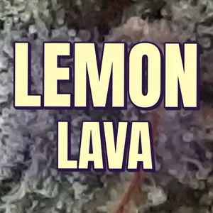 Lemon Lava Cannabis Strain