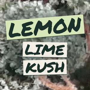 Lemon Lime Kush Cannabis Strain