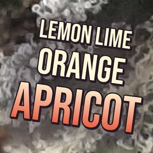 Lemon Lime Orange Apricot Cannabis Strain