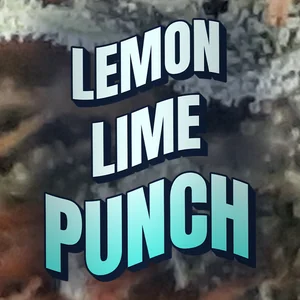 Lemon Lime Punch Cannabis Strain