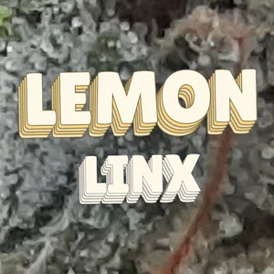Lemon Linx Cannabis Strain