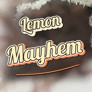 Lemon Mayhem Cannabis Strain