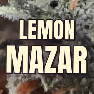 Lemon Mazar Cannabis Strain