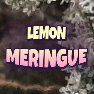 Lemon Meringue Cannabis Strain