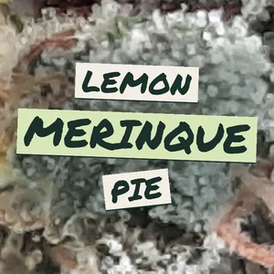 Lemon Merinque Pie Cannabis Strain