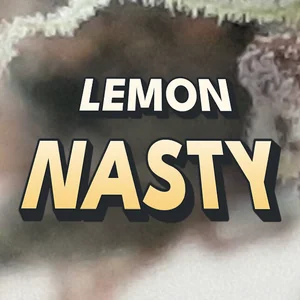 Lemon Nasty Cannabis Strain