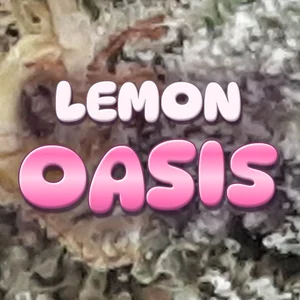 Lemon Oasis Cannabis Strain