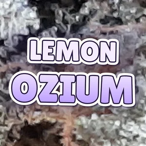 Lemon Ozium Cannabis Strain