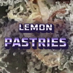 Lemon Pastries Cannabis Strain