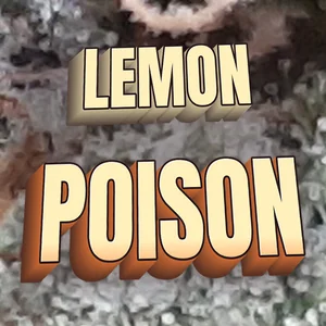 Lemon Poison Cannabis Strain