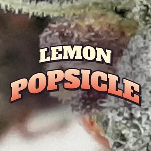 Lemon Popsicle Cannabis Strain