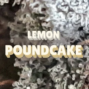 Lemon Poundcake Cannabis Strain