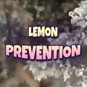 Lemon Prevention Cannabis Strain